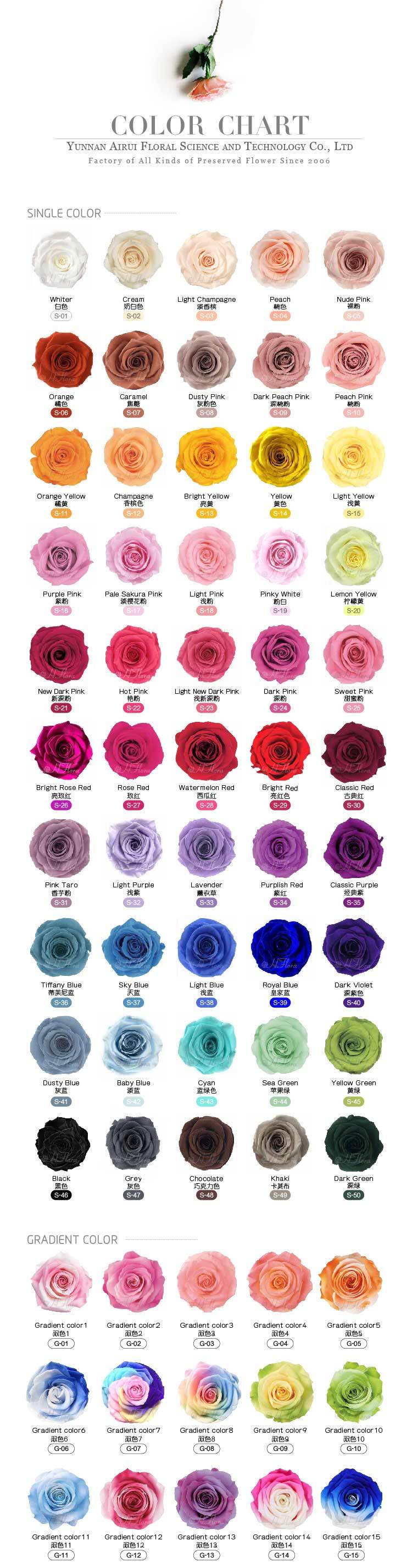 color card
