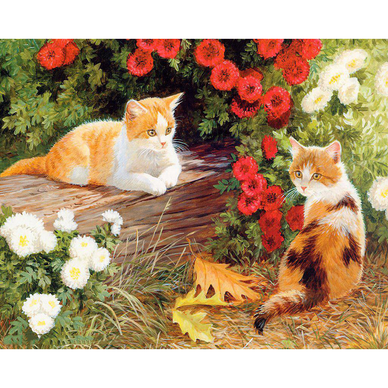 354 chaton fleuri