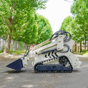Fast Delivery! Skid Steer <strong>Loader</strong> with Track Mini Skid Steer Track <strong>Loader</strong> Skid Steer - Product Image 5