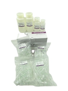 İnsan Telomere uzunluk ölçümü QPCR test kiti (göreceli), araştırma kullanımı için yüksek kalite - Product Image 2