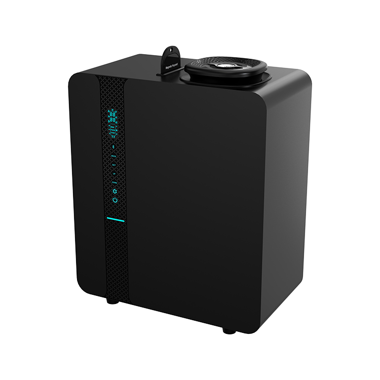 BLACK LI01