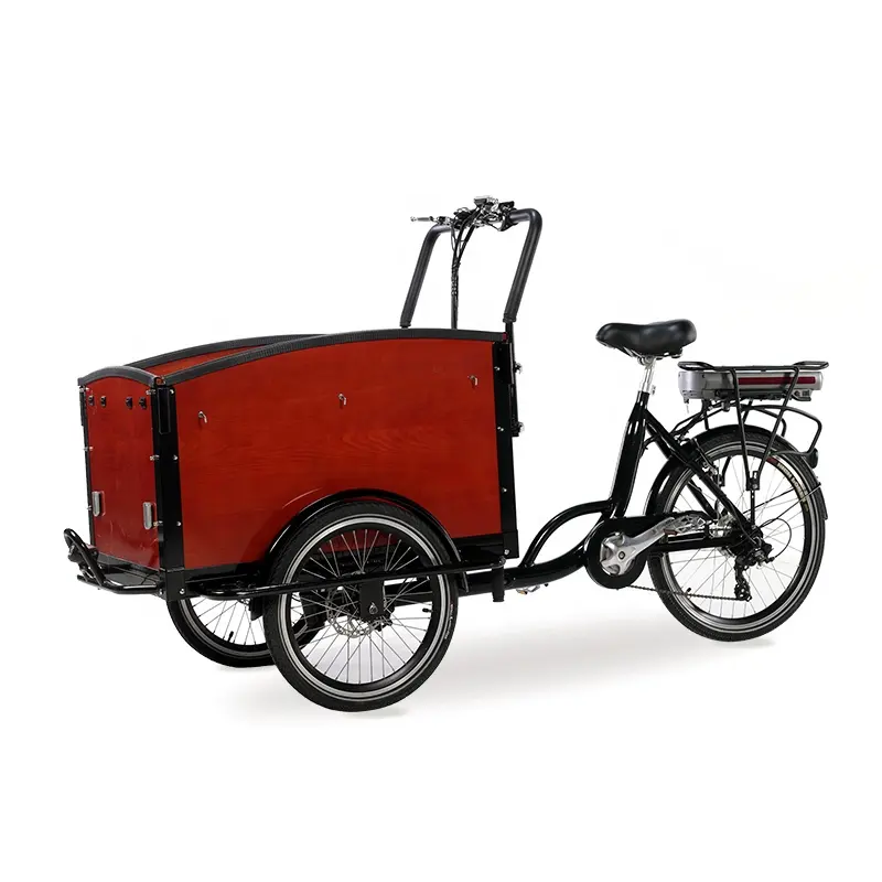 Drie Wiel Voorkant Doos Trapondersteuning Elektrische Goedkope Cargo Trike/Goedkope Cargo Bike