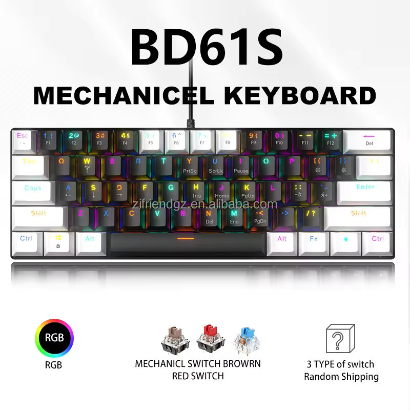 BD61S-Black+White-RGB Light