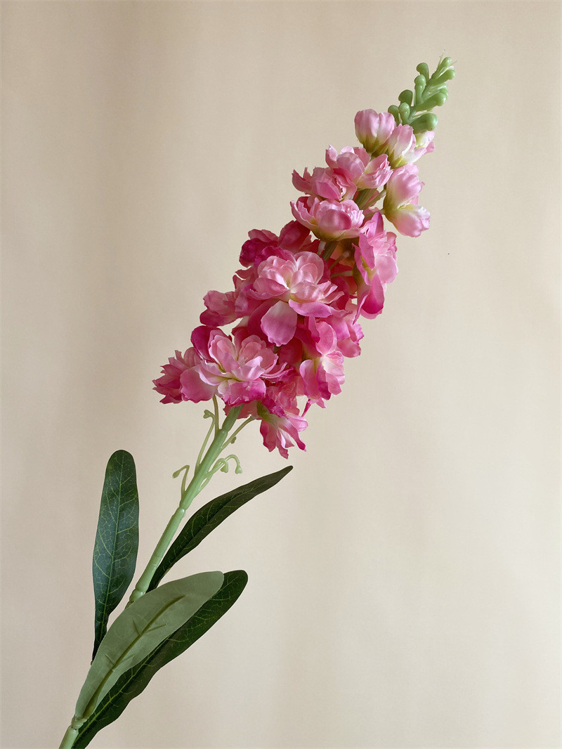 84 cm fuchsia