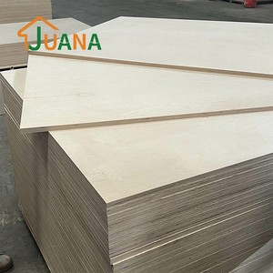 Cabinets <span class=keywords><strong>4X8</strong></span> 3/4 3Mm 5Mm 12Mm 15Mm 18Mm tam huş kontrplak huş lamine kontrplak dolapları için