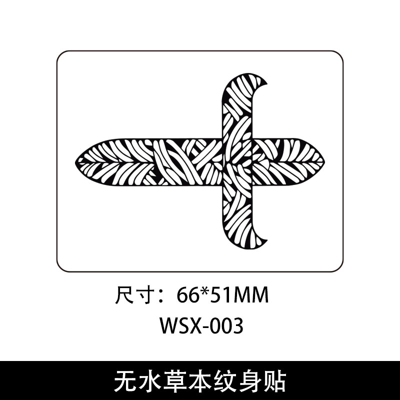 WS-003