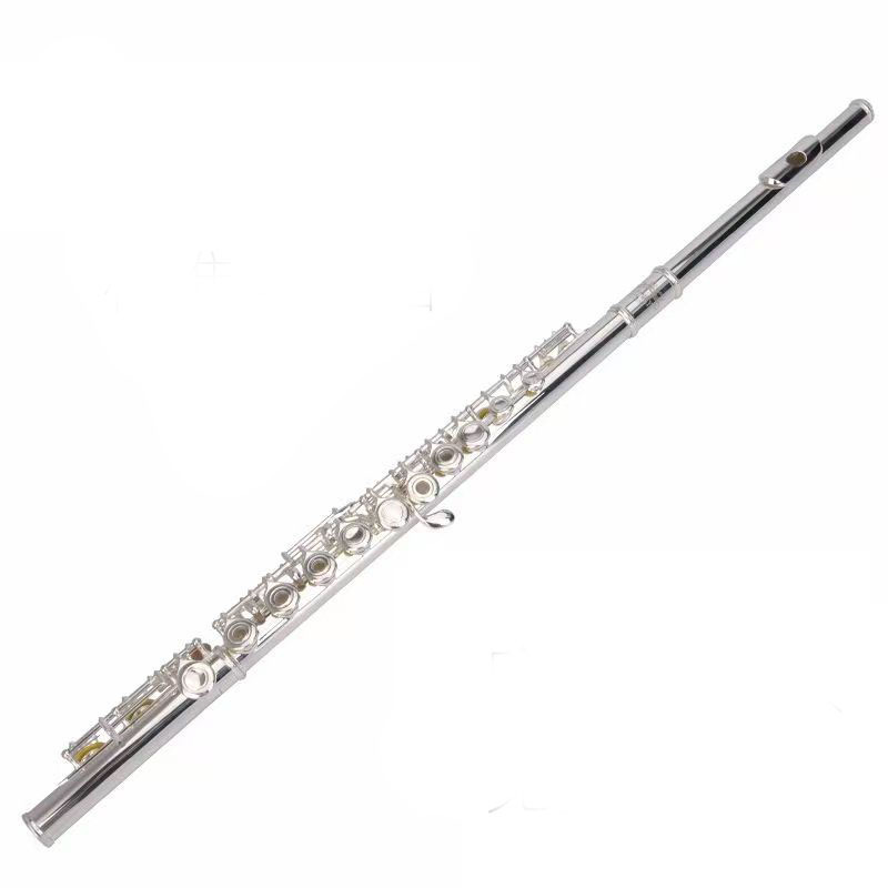 Plaqué nickel