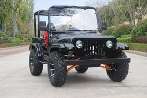 <strong>200cc</strong> Automatic Gasoline Side-by-Side <strong>UTV</strong> with Chain Drive Transmission 4 Stroke Engine Max Speed up to 65km/h - Product Image 4