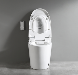 Simple Function Automatic Flushing Toilet 110V/220V Ceramic Toilet Smart Toilet <strong>Bidet</strong> - Product Image 3
