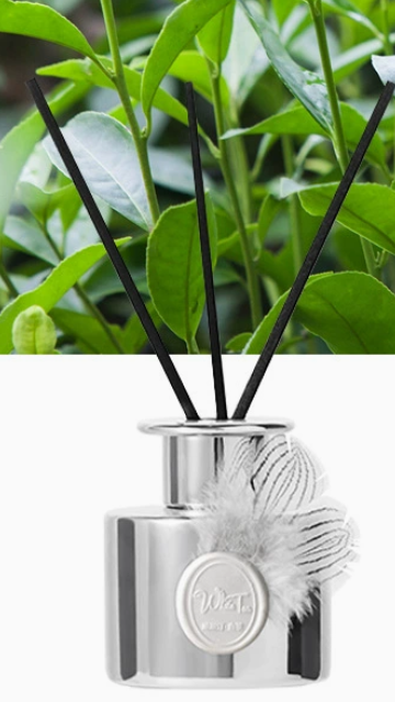 Té blanco Westin