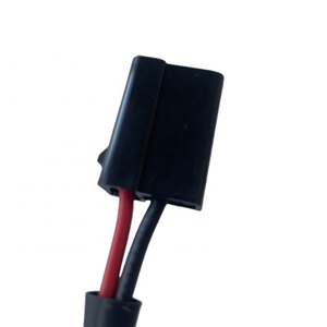 通用德尔福2973781 2984883的2针连接器-通用LS交换K20交换工厂 - Product Image 5