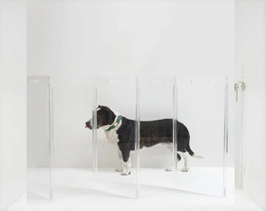 Maßge schneiderte klare Acryl moderne Wand angebracht Zick-Zack-Haustier Hund Tor Lucite Haustier Barriere Panel - Product Image 2