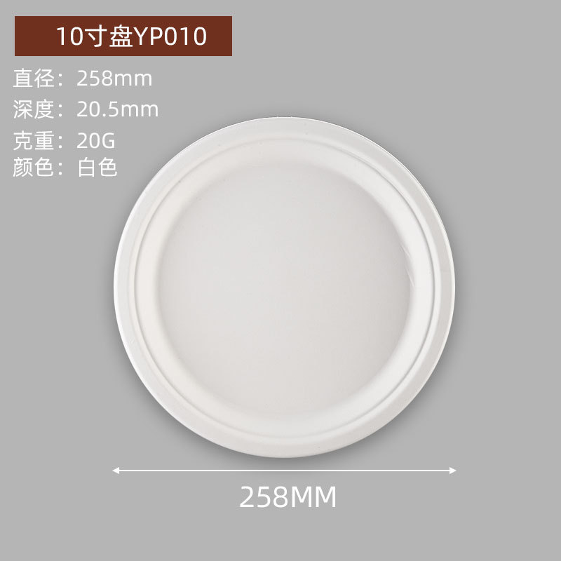 disque de 10 pouces