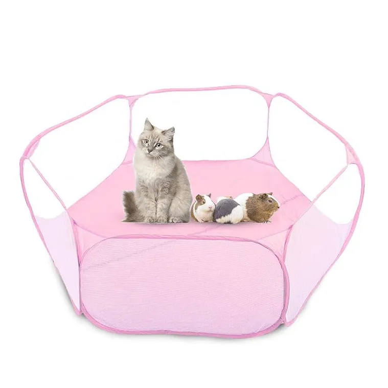 Personalizzare il box per cani rosa stabile e resistente xxl grande recinto per cani in acrilico trasparente
