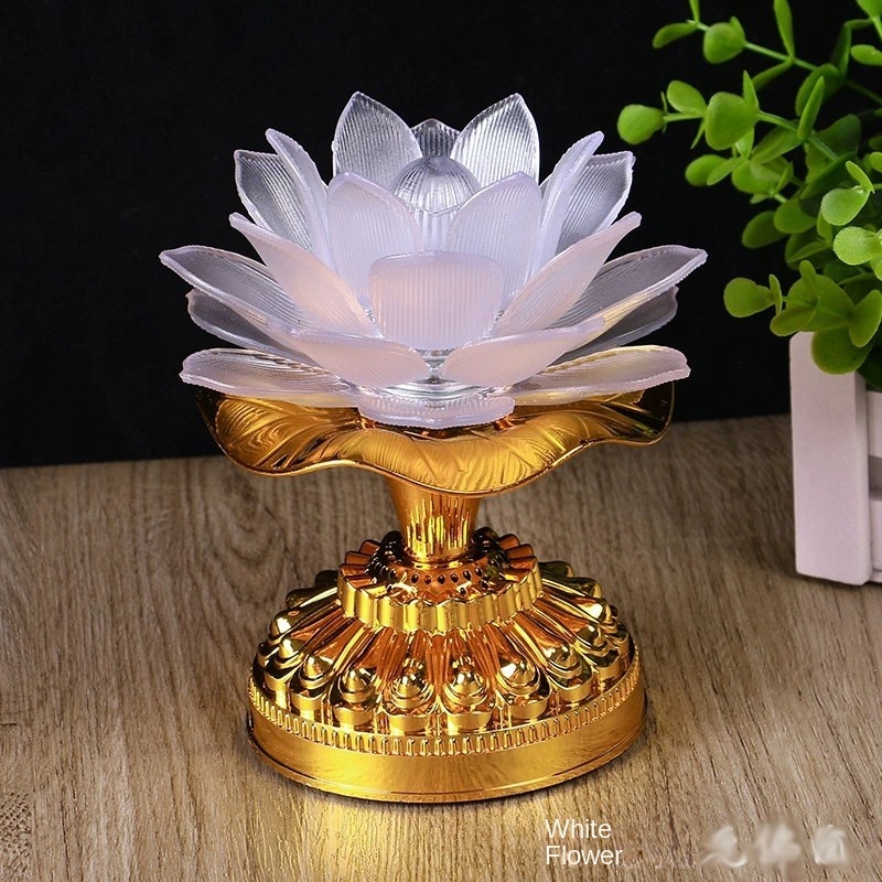 ไม่มี #/1ดอกไม้สีขาว