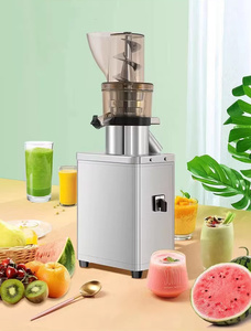 1500W elma armut domates suyu sıkma sıkacağı ekstraktör makinesi ticari meyve sıkacağı makinesi - Product Image 2