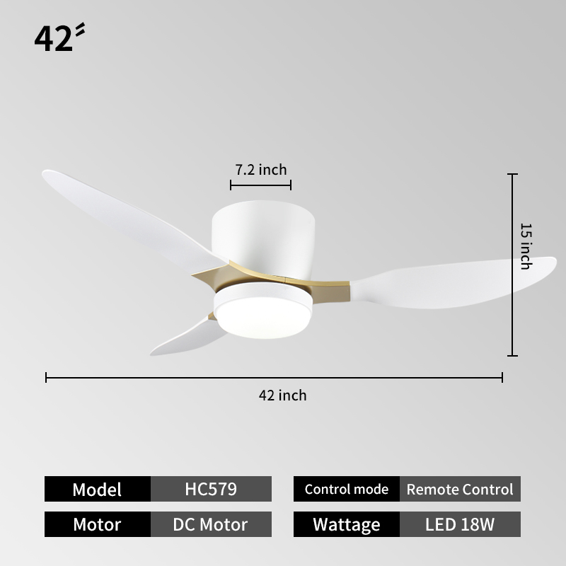Blanc + Or + 42