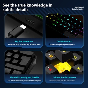 Cross-Border 61-<strong>Key</strong> RGB Wired <strong>Computer</strong> <strong>Keyboard</strong> Portable Mini Business Office Luminous Gaming Keypad Mechanical for Laptop <strong>Use</strong> - Product Image 3