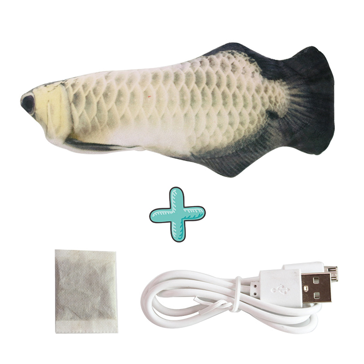 Silver Dragon Fish