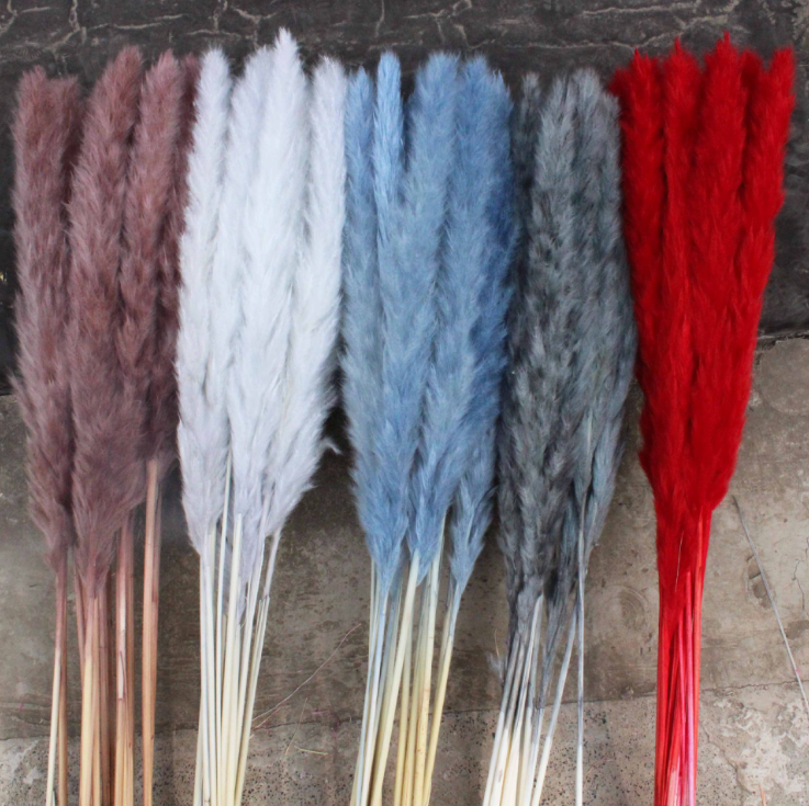 Color can be customized