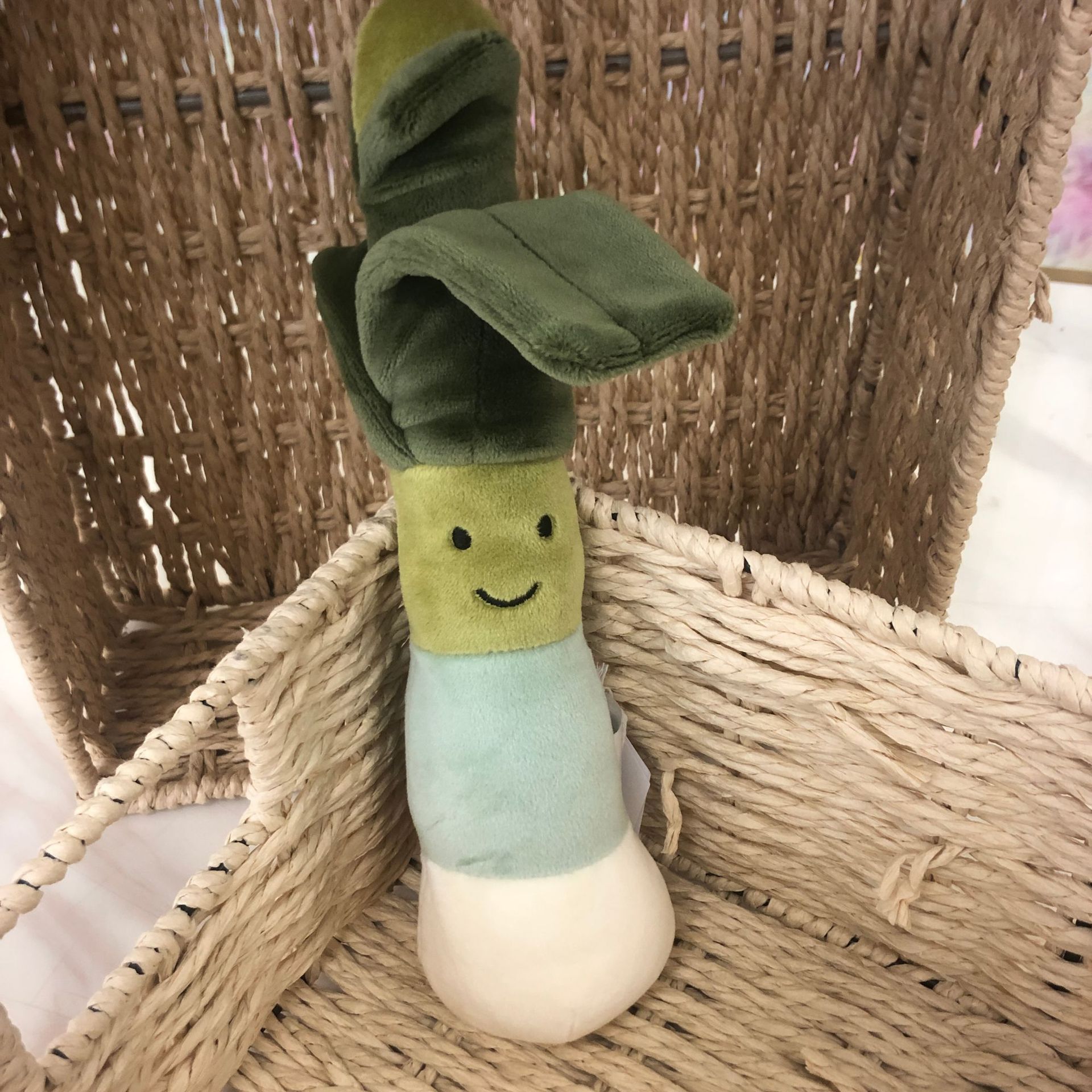 Oignon vert 24cm
