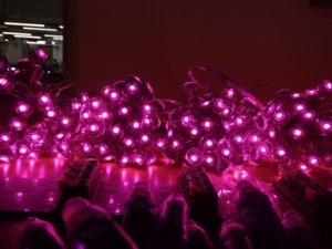 IP67 Wasserdichte RGB-LED-Pixel leuchten für den Außenbereich DMX512 Landschafts beleuchtungs quelle mit PC-Gehäuse für Außen projekte - Product Image 5