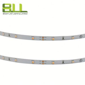 Lens ile yeni tasarım 2835 60leds Led şerit işık 24V Led ışık 3000K kabine konut akıllı Led ışık için - Product Image 5