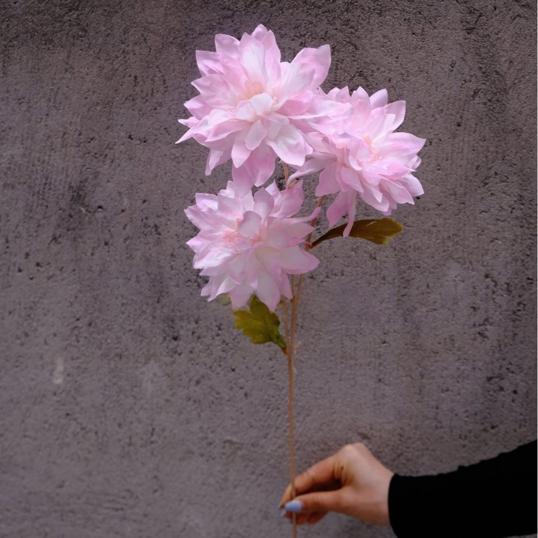 Dalia rosa dipinta ad olio