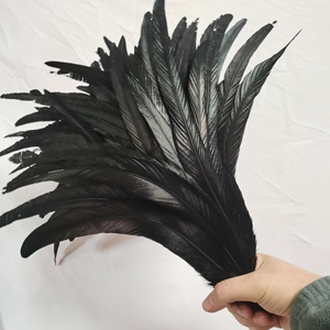 Wholesale 100pcs Per Pack 35-40cm Rooster Tails <strong>Feather</strong> Coque <strong>Feather</strong> For Carnival Festival Holiday Costume Decorations - Product Image 4