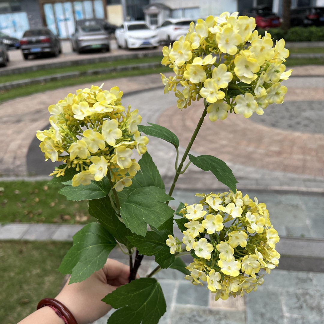 3 hortensias en bois jaune