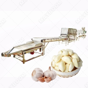 Clasificador de color óptico de frutas y verduras Clasificación Clasificadora de color de ajo pelado para ajo - Product Image 3