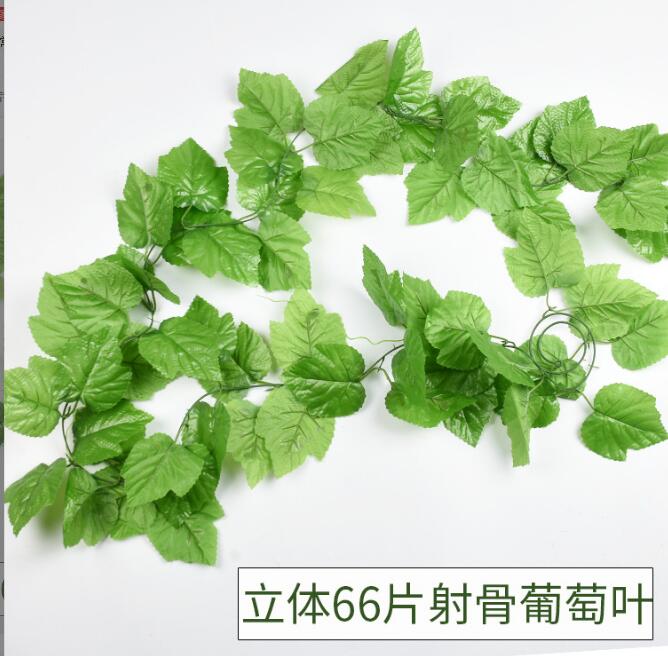 66 feuilles de raisins 2 guirlandes pack