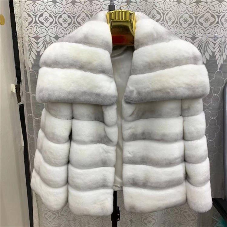 CHINCHILLA