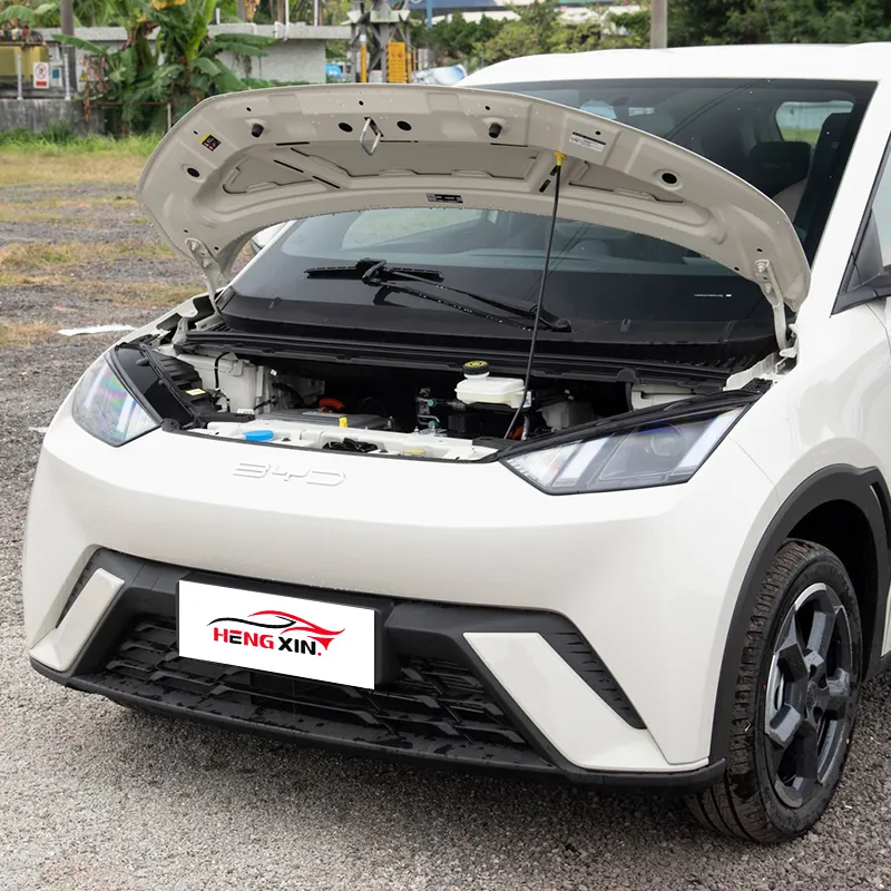 Obral kendaraan listrik murni SUV termurah mobil baru 2023 BYD Seagull