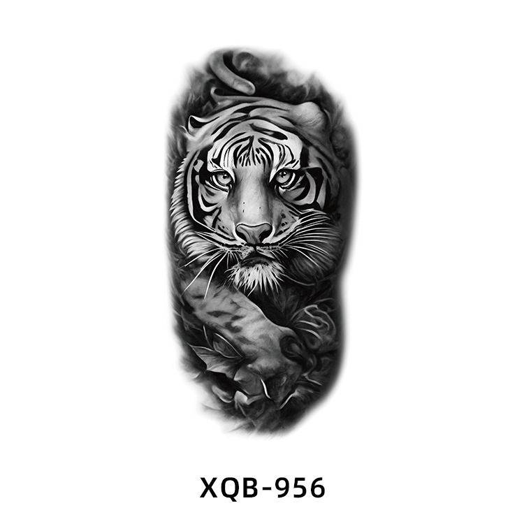 Xqb-956