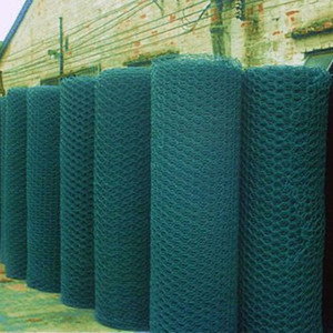 <strong>Pvc</strong> Coated Hexagonal Wire <strong>Netting</strong> Use for Chicken Wire - Product Image 5