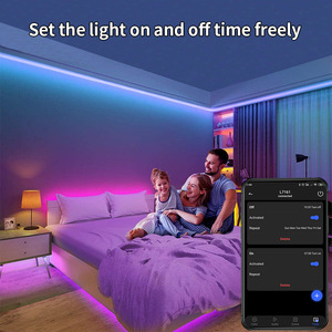スマートLEDストリップライトAPP制御バッテリー駆動の柔軟なスマートLEDストリップライト - Product Image 5