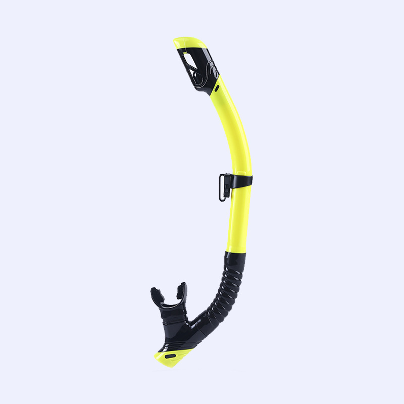Breathing tube: blackish-yellow