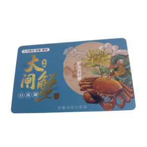 哑光银0.76毫米聚氯乙烯会员卡刮擦设计，带胶印二维码磁卡类型 - Product Image 5