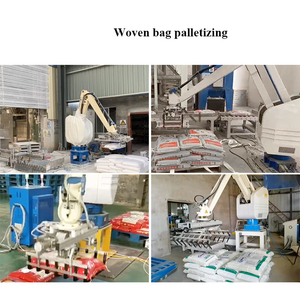 Payload 50 KG <strong>Automatic</strong> Material Handling and Packaging <strong>Robot</strong> <strong>Load</strong> and Unload <strong>Robots</strong> <strong>Arm</strong> - Product Image 6