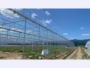 Hệ thống nhà kính thương mại đa nhịp Pro-sawtooth tiên tiến - Product Image 3