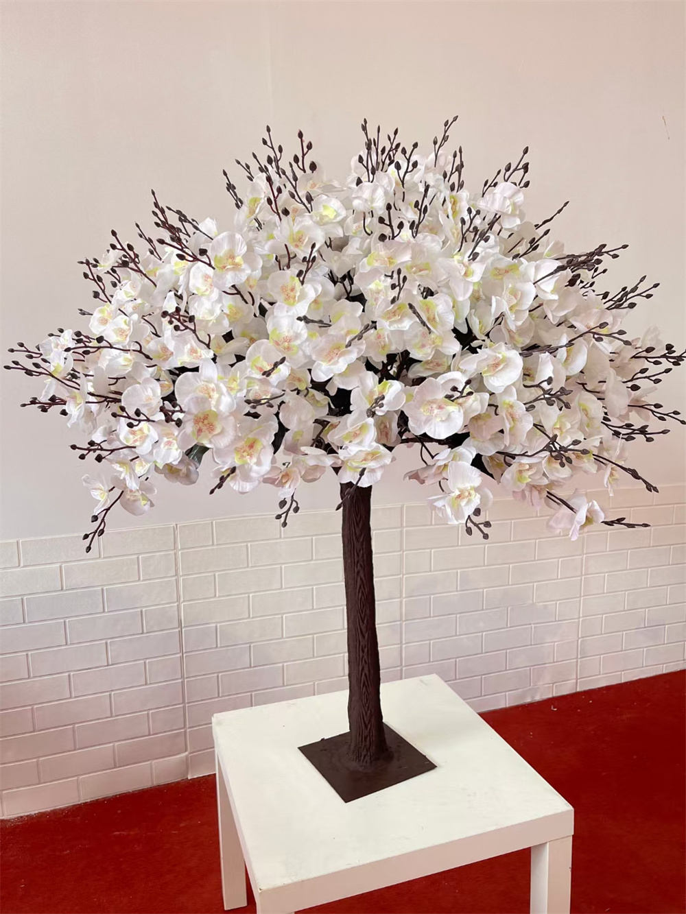 #5 Árbol de la orquídea