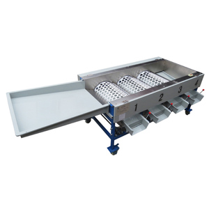 Date di vendita calda macchina di smistamento di smistamento dimensionamento macchina motore frutta oliva nuovo prodotto 2020 fornito 100 ad alte prestazioni - Product Image 5