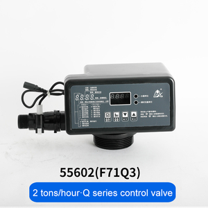 Runxin 2 m3/h sistema di addolcimento automatico dell'acqua da 2 pollici da 500lph per il trattamento dell'acqua da 500lph, componenti del nucleo del motore della pompa - Product Image 3
