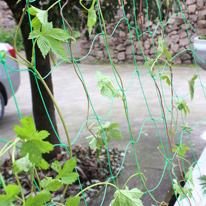 Enrejado Jardín Escalada Red Planta Soporte Red PP Malla Green Bean Pepino Red - Product Image 5