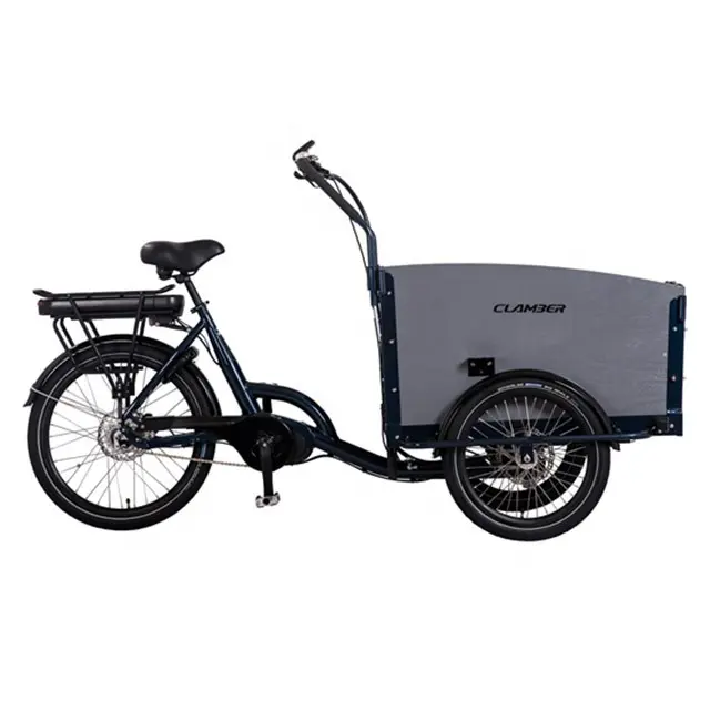 Triciclo elettrico per moto moto moto E-bike 3 ruote bici elettrica tre ruote cargo triciclo elettrico