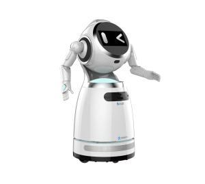 HL Durable Using Plastic Material Service Ai Assistant Robot Automatic - Product Image 4