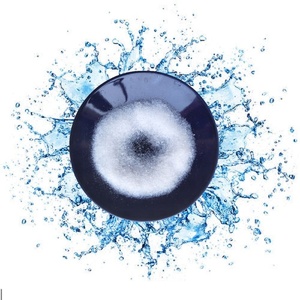 Sykol gel de sílica <span class=keywords><strong>granular</strong></span> branco para secagem de flores