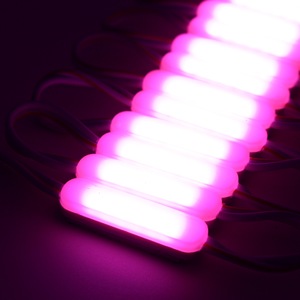 Einfarbiges COB-LED-Modul mit hoher Helligkeit 12V 24V 1,8 W Wasserdichtes IP65-Kanalbuchstaben-COB-Modul - Product Image 5