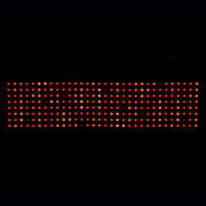 Pannello a matrice flessibile 8x32 indirizzabile Ws2812b di alta qualità Led Pixel Light - Product Image 2